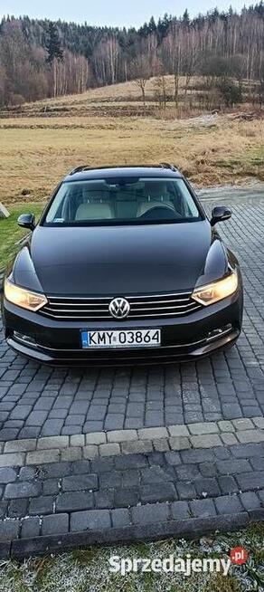 Trwały i niezawodny Volkswagen Passat B8