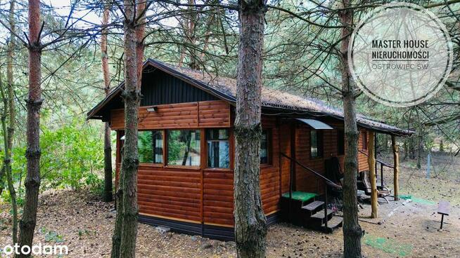 Dom z agroturystyką i 2 ha ziemi – idealna inwestycja!