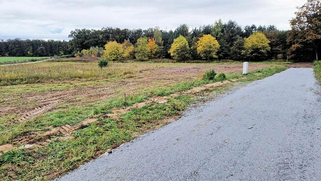 Działki budowlane w Obornikach Śląskich przy lesie