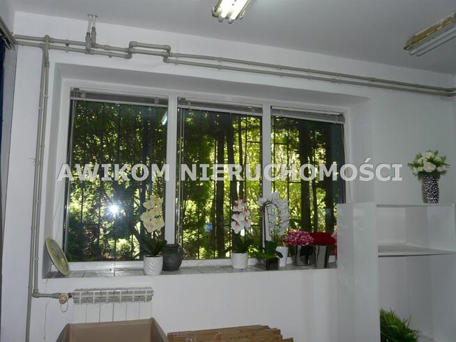 Lokal użytkowy Skierniewice