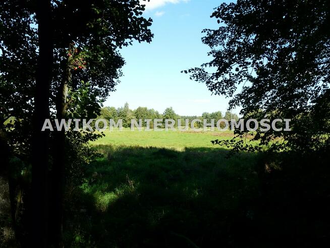 Działka rolna Ziemiary gm. Bolimów