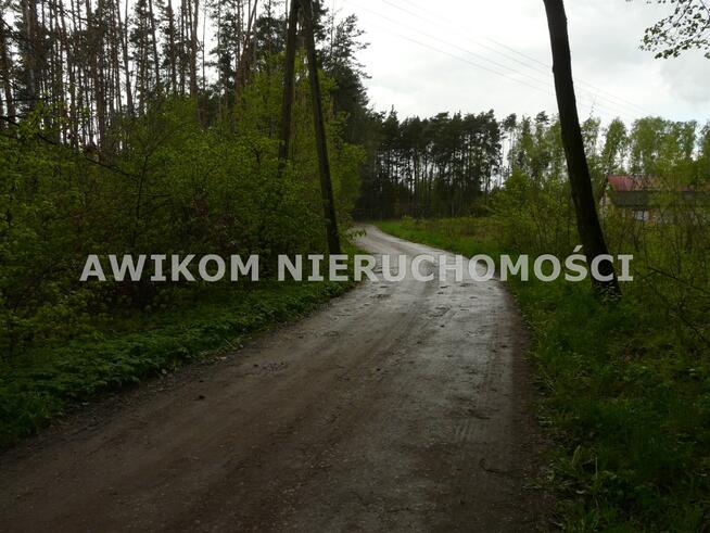 Działka siedliskowa Joachimów-Mogiły gm. Bolimów