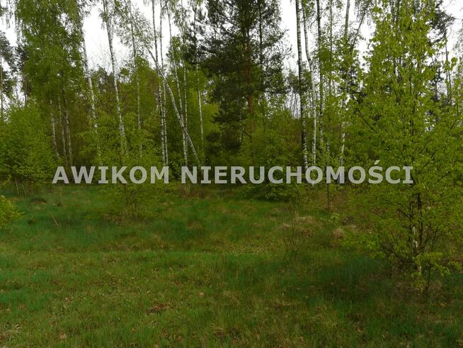 Działka siedliskowa Joachimów-Mogiły gm. Bolimów