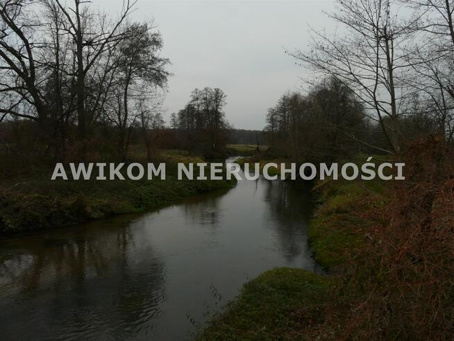 Działka rolna Doleck gm. Nowy Kawęczyn