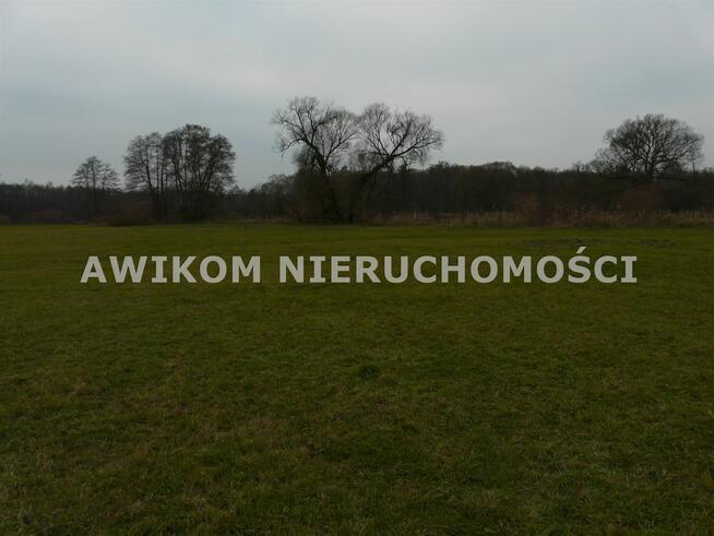 Działka rolna Doleck gm. Nowy Kawęczyn