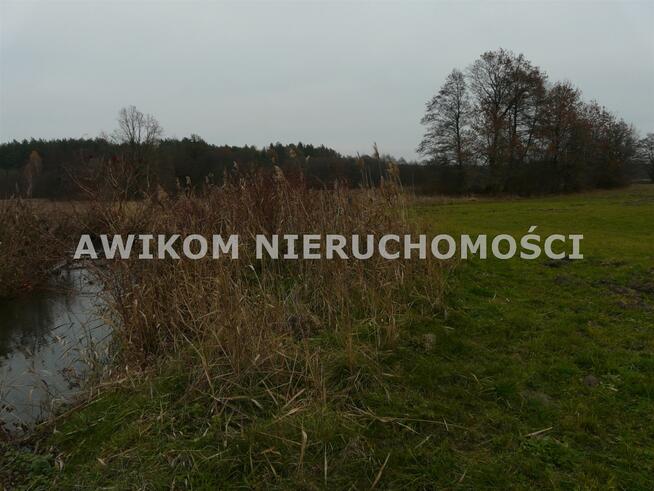 Działka rolna Doleck gm. Nowy Kawęczyn