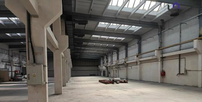 Lokal użytkowy Tychy Urbanowice