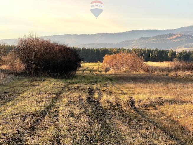 Nieruchomość gruntowa Frydman