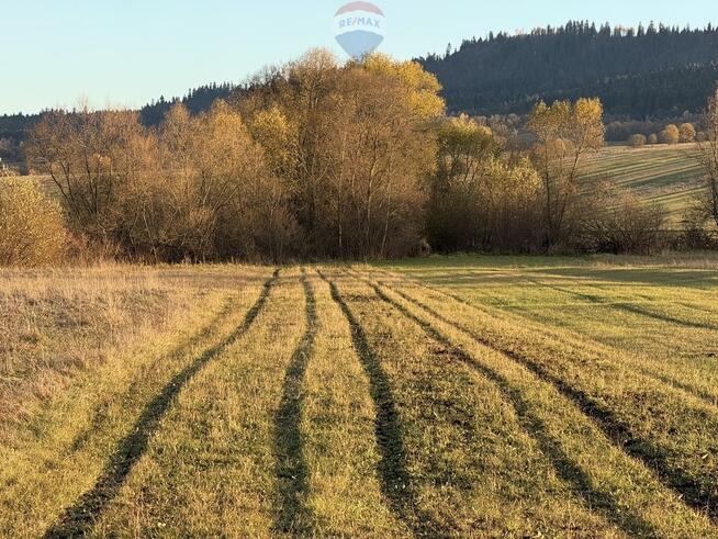 Nieruchomość gruntowa Frydman