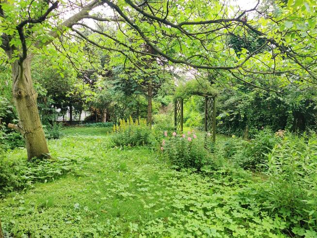 Dom w Super Lokalizacji w Zabrzu