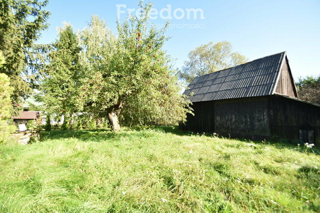 Sprzedam Siedlisko wśród zieleni lasów.