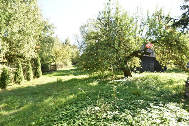 Sprzedam Siedlisko wśród zieleni lasów.