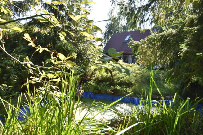 Sprzedam Siedlisko wśród zieleni lasów.