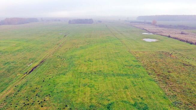 Działka rolna Siedliska gm. Wydminy