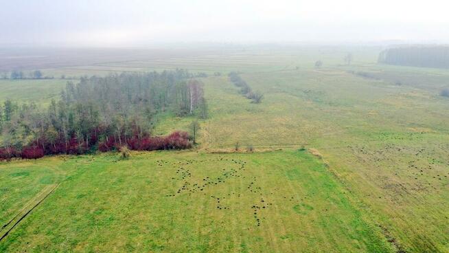 Działka rolna Siedliska gm. Wydminy