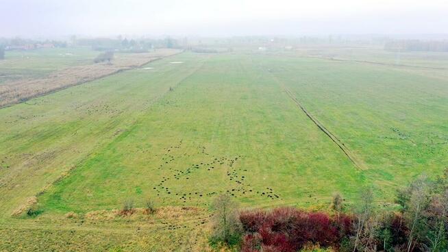 Działka rolna Siedliska gm. Wydminy