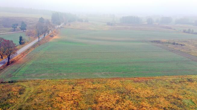 Działka rolna Dziubiele gm. Orzysz