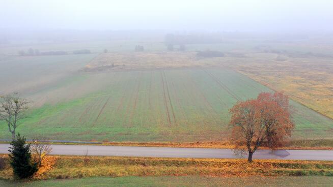 Działka rolna Dziubiele gm. Orzysz