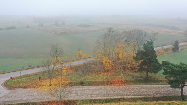Działka rolna Dziubiele gm. Orzysz