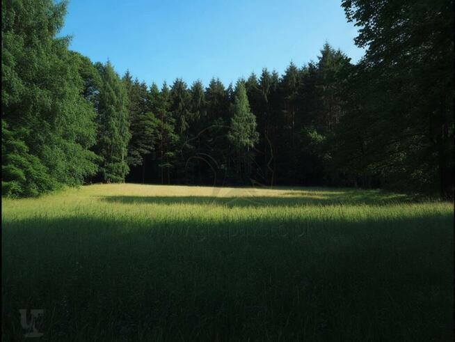 1100 m² szczęścia, spokoju i potencjalnego hamaka