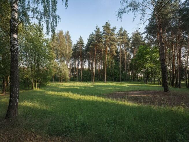 1100 m² szczęścia, spokoju i potencjalnego hamaka