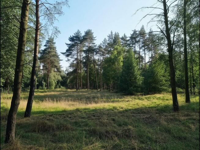 1100 m² szczęścia, spokoju i potencjalnego hamaka