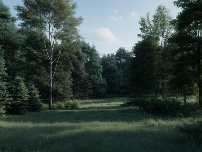 1100 m² szczęścia, spokoju i potencjalnego hamaka