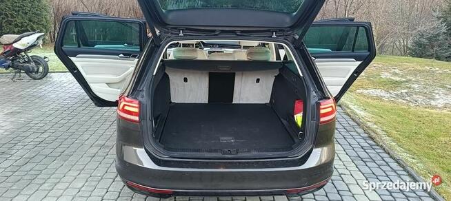 Trwały i niezawodny Volkswagen Passat B8