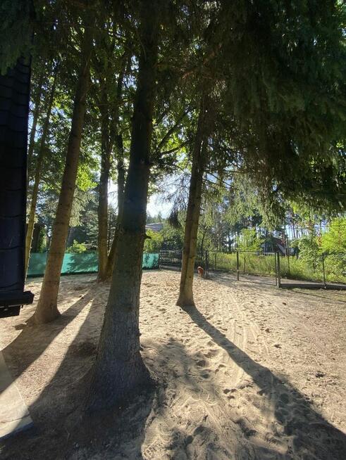 USŁUGI OGRODNICZE PORZONKOWE