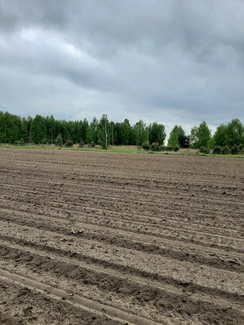 Sprzedam działke budowlana/rolną