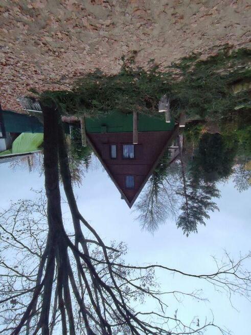 USŁUGI OGRODNICZE PORZONKOWE