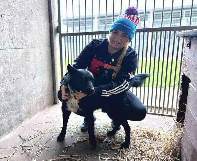 Oxan z Ukrainy - przyjazny amator długich spacerów