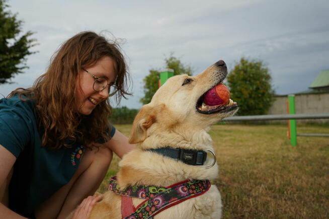 Gumiś - pojętny psiak o nietuzinkowej urodzie