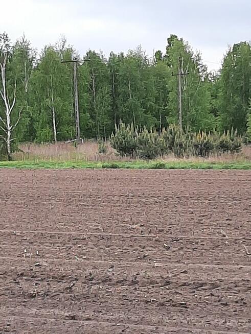 Sprzedam działke budowlana/rolną