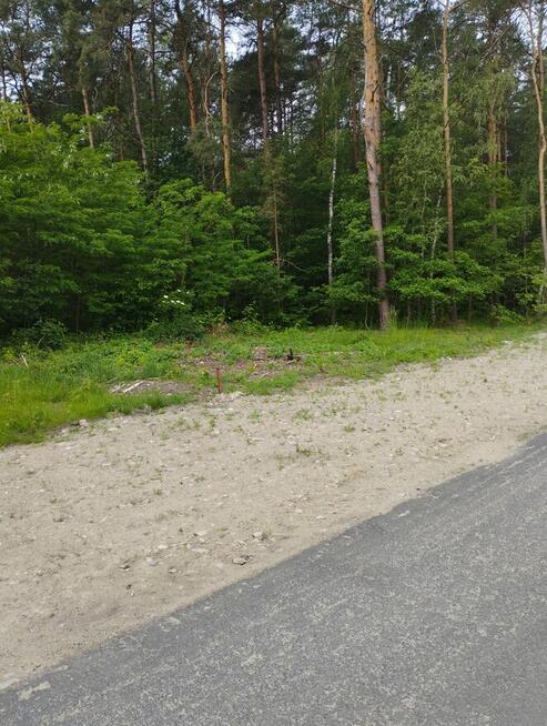 Działka leśna z miejscem na mały domek