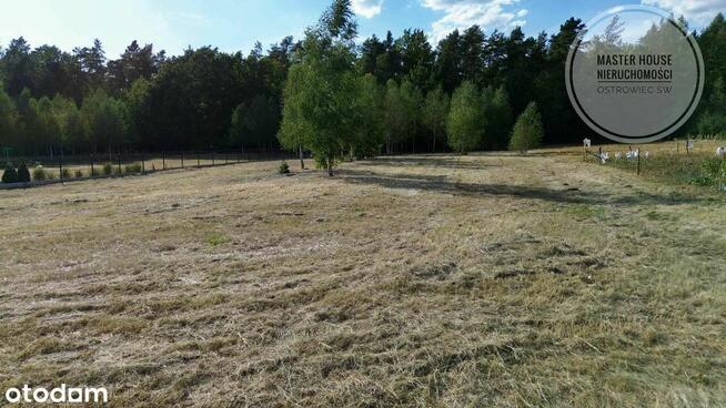 Idealna działka na Twój wymarzony dom – blisko lasu i miasta