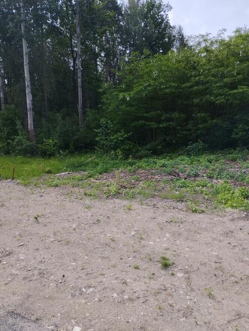 Działka leśna z miejscem na mały domek