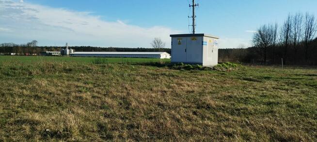 Działka budowlana UZBROJONA w Borku gm Deszczno