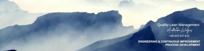 Dyrektor produkcji. PM. Kierownik jakości. Lean manager.