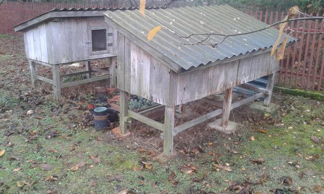 Klatki dla królików