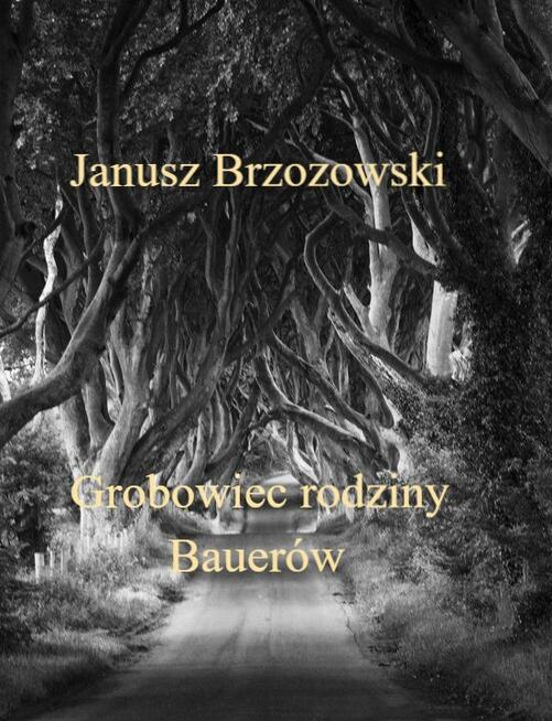 Poszukuje korektora książek