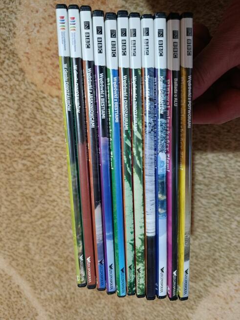 Komplet płyt DVD o Dinozaurach