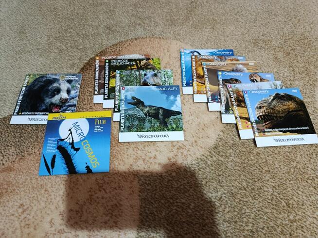 Komplet płyt DVD o Dinozaurach