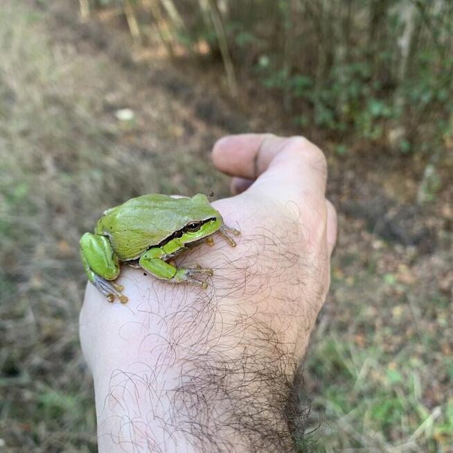 Chce poznać faceta do związku
