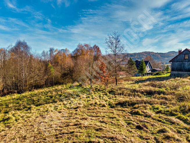 Działka w spokojnym miejscu blisko lasu