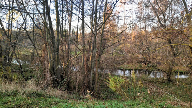 Działka budowlana Nowe Mostki gm. Sochaczew,