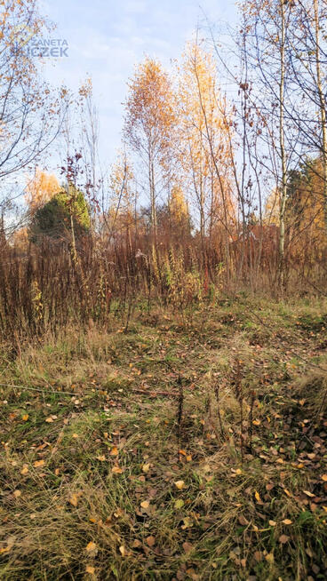 Działka budowlana Nowe Mostki gm. Sochaczew,