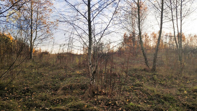 Działka budowlana Nowe Mostki gm. Sochaczew,