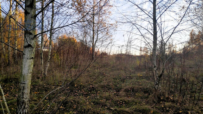 Działka budowlana Nowe Mostki gm. Sochaczew,