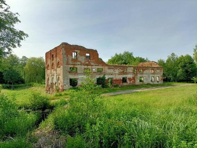 Działka 35 ha z ruinami papierni w Celejowie.